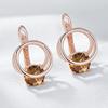Shiny Brown Natural Zircon English Earrings For Women Luxury  Rose Gold Color Party Accessories Daily Fine Jewelry