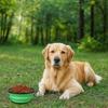 Silicone Dog Folding Bowl Large Capacity Pet Water Food Dish Collapsible Dog Bowl  Outdoor Walking