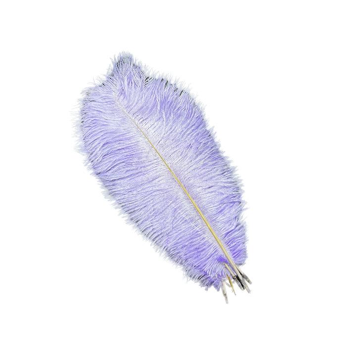

Страусиные перья 15-20 см Страусиное перо Украшение Перья Стена Иу светло-фиолетовый