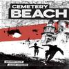 Cemetery Beach by Warren Ellis Paperback Book 9781534312234