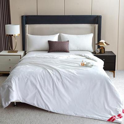 Arctic Velvet Meina Pure Silk Quilt