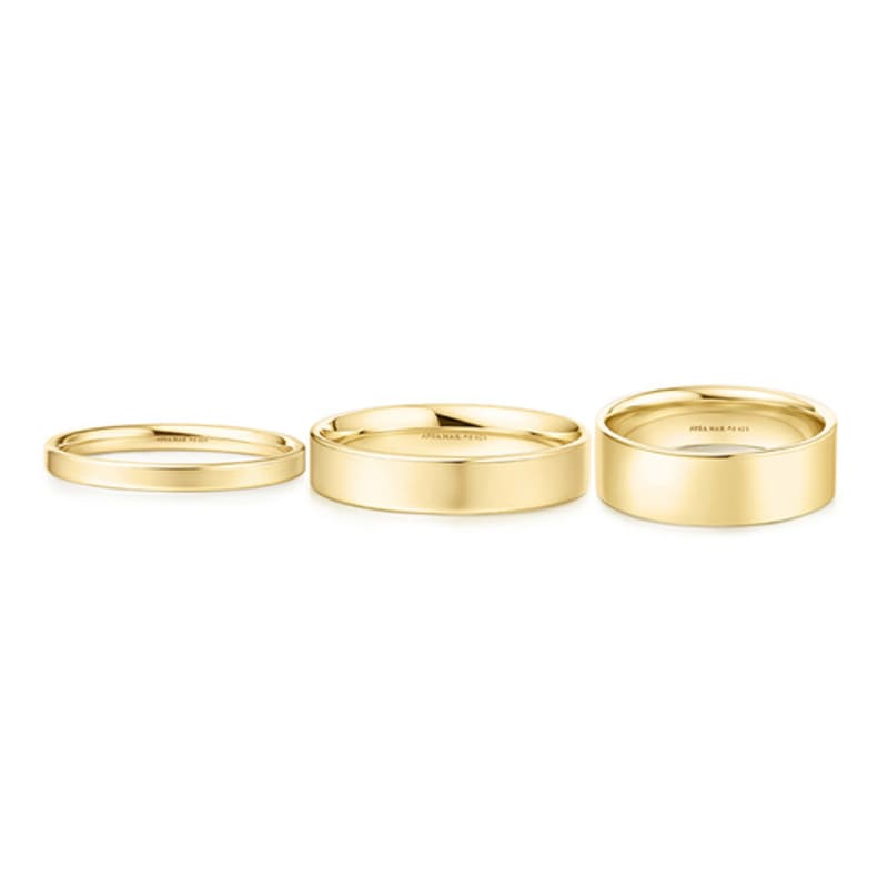 ANIA HAIE Smooth Band 925 Silver Ring 2mm/4mm/6mm R064-02G_03G_04G