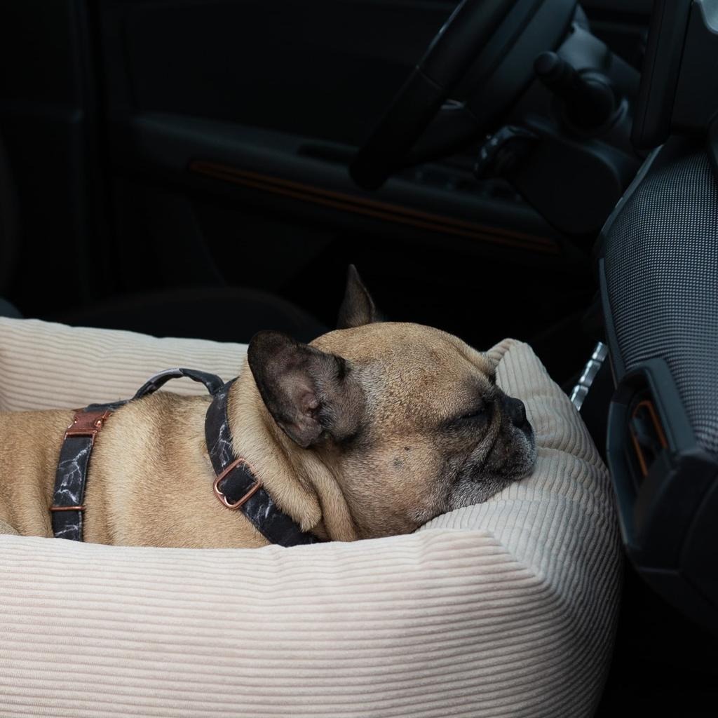 Large XL cord Creme dog car seat