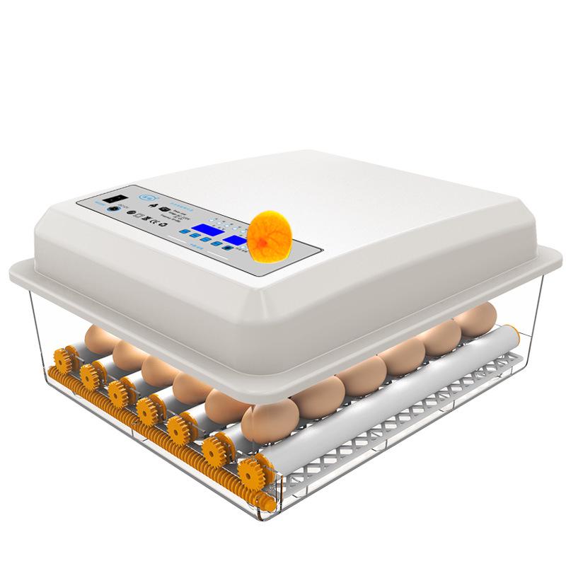 Jiayu Smart 16/36-Egg Automatic Home Chicken Incubator