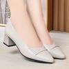 Pointed Single Shoes Women's 2026 Spring and Autumn New Mother Shoes Leather Shoes Soft Sole Comfortable Medium Women's Shoes