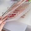 Frosted Nail Tip Storage Book - Wearable Manicure Display Board with Transparent Template