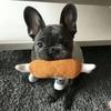 Dog Squeaky Toy Chicken Legs Bone Shape Pet Dog Plush Toy for Small Medium Large Dogs and Cats Juguetes Para Perros