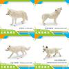 High-quality Arctic Wolf Models Featuring Howling Walking And Baby Wolf Designs