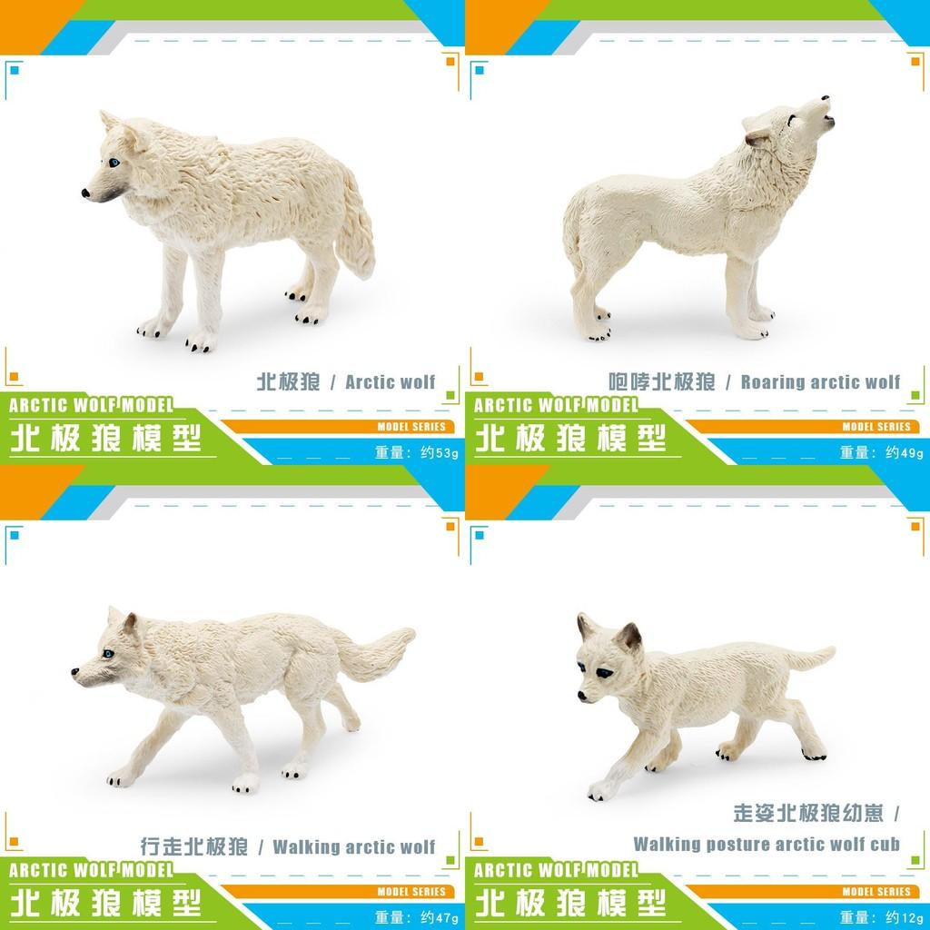 High-quality Arctic Wolf Models Featuring Howling Walking And Baby Wolf Designs