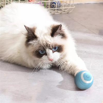 Bola interativa para gatos, brinquedo elétrico para gatos, bola de treinamento com movimento automático, bola mágica eletrônica para gatos
