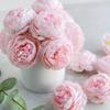 Artificial Peony Flowers Simulated Peony Flower Heads with Stems for Wedding Party Decoration, Cake Decoration and Home Living Room Table