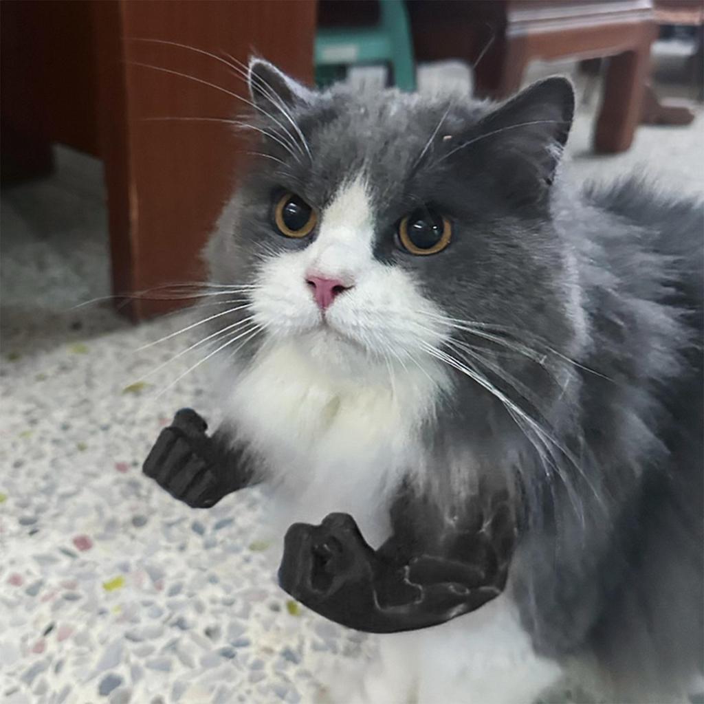 3D Printed Realistic Muscle Arm for Cat Creative Decoration Props Kitten Interactive Toy Halloween Costume Accessories Gift