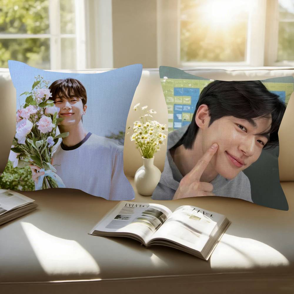 Korean Celebrity Byeon Wooseok   Pillowcase Toon Gift Cushion Cover Bedroom Home Sofa Chair Seat Decor Pillow Case