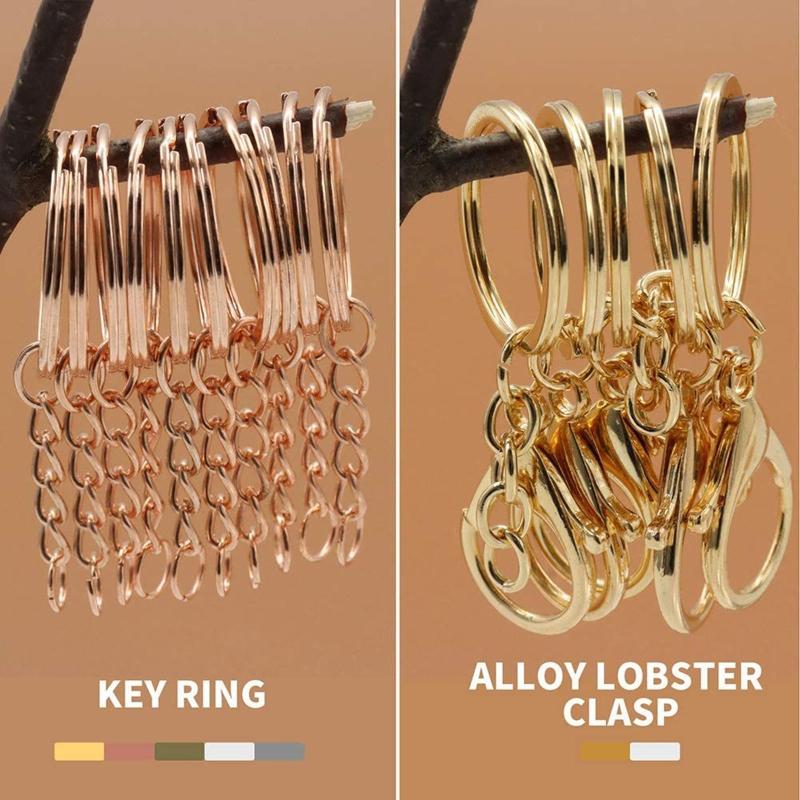 660Pcs Keychain Rings for Crafts Including 50Pieces Keychain Rings 10Pieces Lobster Clasp 600Pieces Screw Eye Pins Hooks