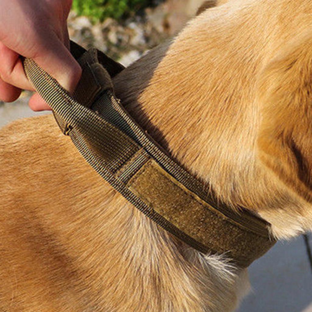 Hundehalsband für große Hunde - Camouflage, Passform, mit Leinenbefestigung - Multifunktional für Outdoor-Training und Spaziergänge