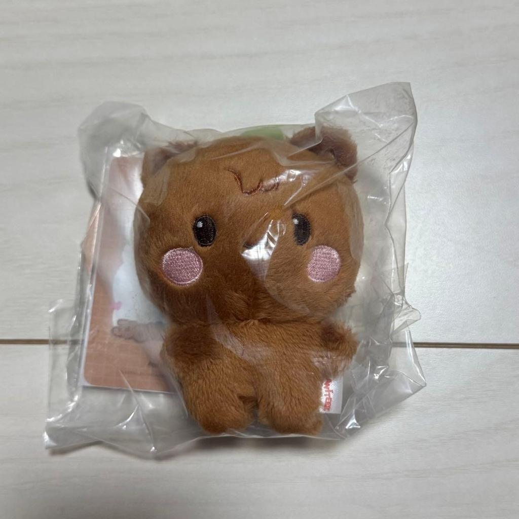 Used Jongho ATEEZ ANITEEZ John Bear Plush Tiny