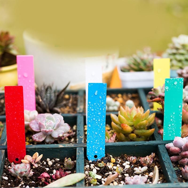 100Pcs Plant Labels for Outdoor Plant Plastic Plant Labels Markers & Labels Plant Labels for Garden  Potted
