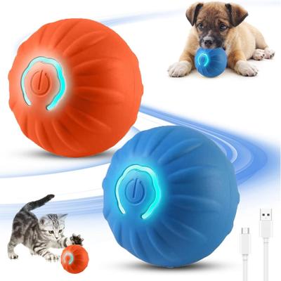 Cani – Giocattoli per cani