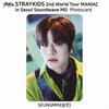 Stray Kids 2nd World Tour MANIAC In Seoul Photocard Polaroid KPOP K-POP