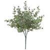 Eucalyptus Plant Globulus Foliage For Home Enhancement Photography Prop