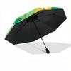1pc Cats Garden Automatic Folding Umbrella - 8-Rib Automatic Open/Close, Portable Collapsible Compact Umbrella yy251218070