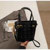 Cartoon Bear Print Portable Small Bag Female 2025 Spring Niche Design Oblique Span Bucket Bag