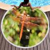Dragonfly Round Beach Towel,Absorbent Quick Dry Sand Free Lightweight Travel Bath Towels,Round Throw Blanket for Swim Pool Gym