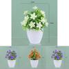 Plastic Causonis Japonica Plant For Indoor Decoration Perfect For Living Room And Office
