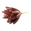 Micro Landscape Ornament Simulation No Watering Realistic Ornaments Flocking Texture Indoor