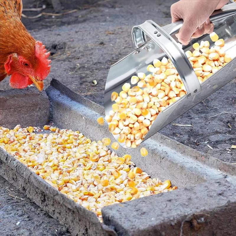 Pala Riso Grande Capacità in Metallo Pala Mangime Cereali Multifunzionale Manico Ergonomico Liscio Cucina Supermercato Fattorie