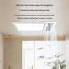 MICOE Graphene Ceiling Mount Bathroom Heater