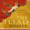 The Iliad by Homer Hardback Book 9781324001805