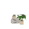 Nordic Small Potted Plant Decor - Indoor Bonsai & Bionic Greenery for Office or Living Room.