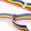 Boy Rainbow Suspenders and Bowtie Set Perfect for Any Formal Occasion