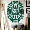 Viborg FF logo Wall Hanging Printed Fabric Blanket Decorative Tapestries for Bedroom Living Room Home Decor