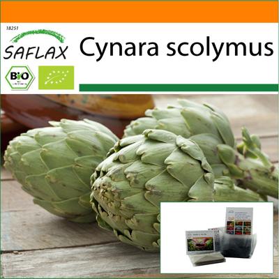 Garden in the Bag – Bio – Artischocke – Imperial Star – 5 Samen – Mit Substrat im passenden Standbeutel – Cynara scolymus