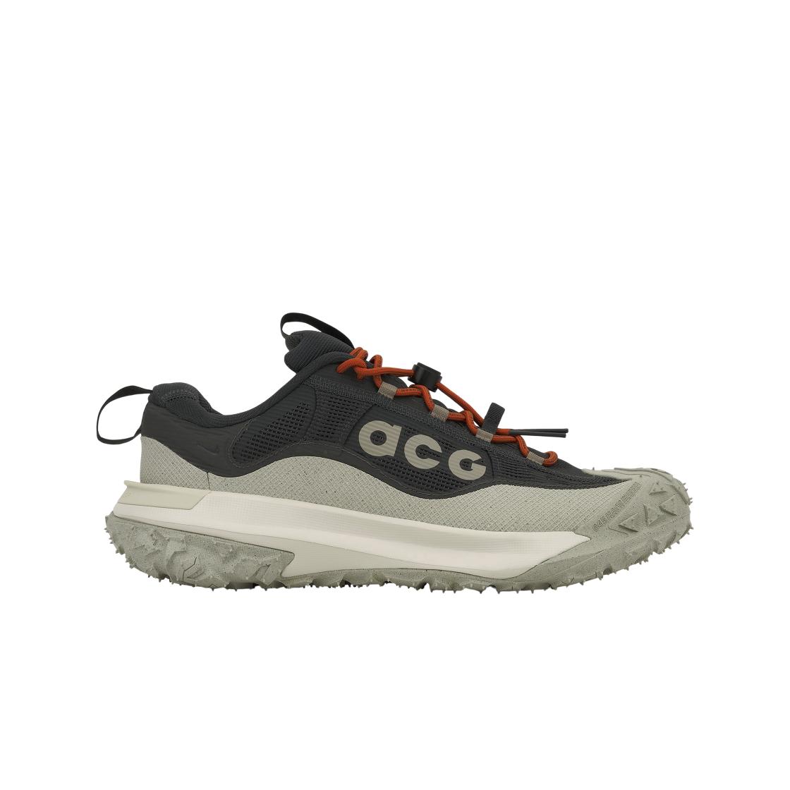 Nike ACG Mountain Fly 2 Low