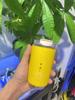 SEMg Stainless Steel Travel Mug - Insulated Food Grade Thermos Cup
