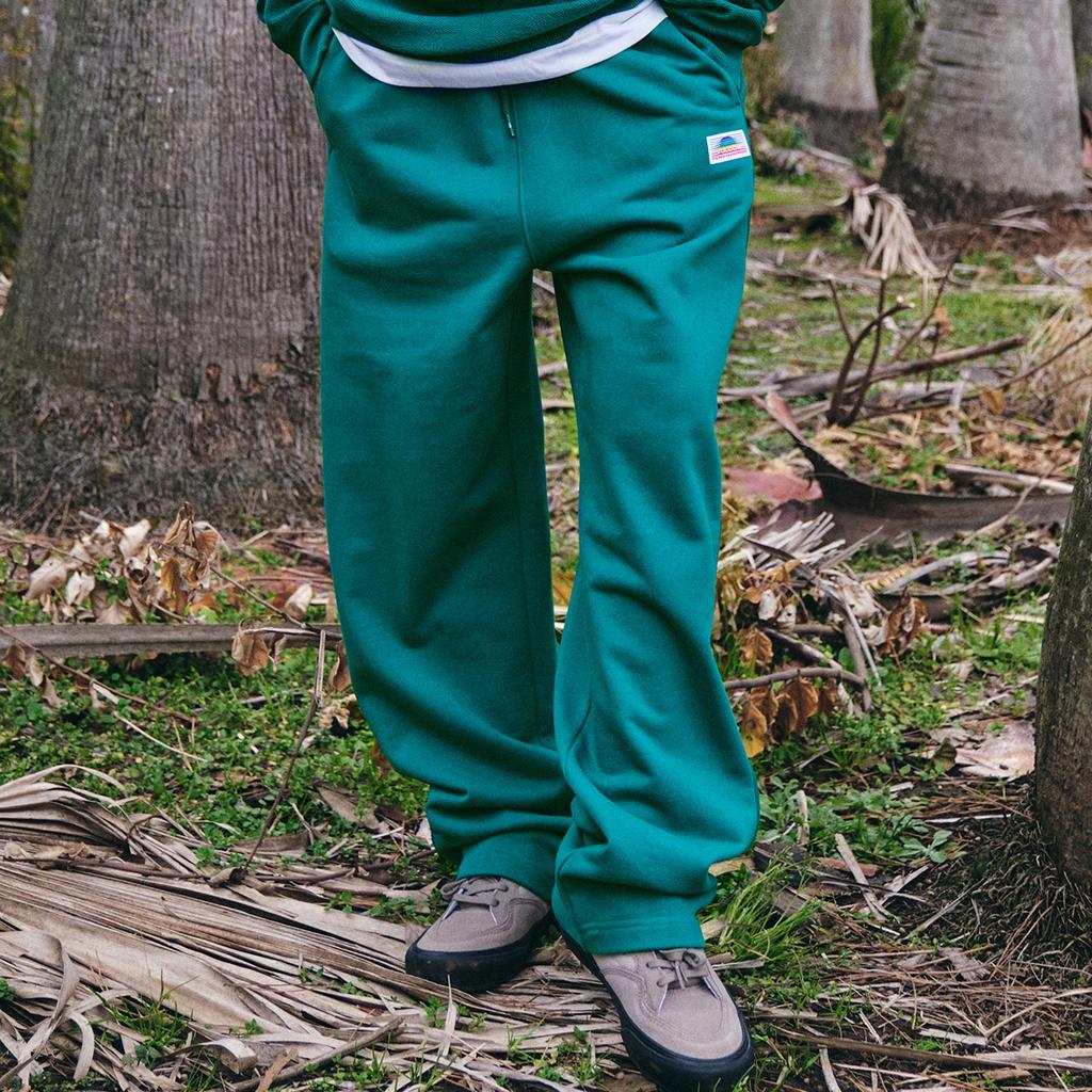 VOLCOM Two Face Oversized Basic Pants (3 Colors)