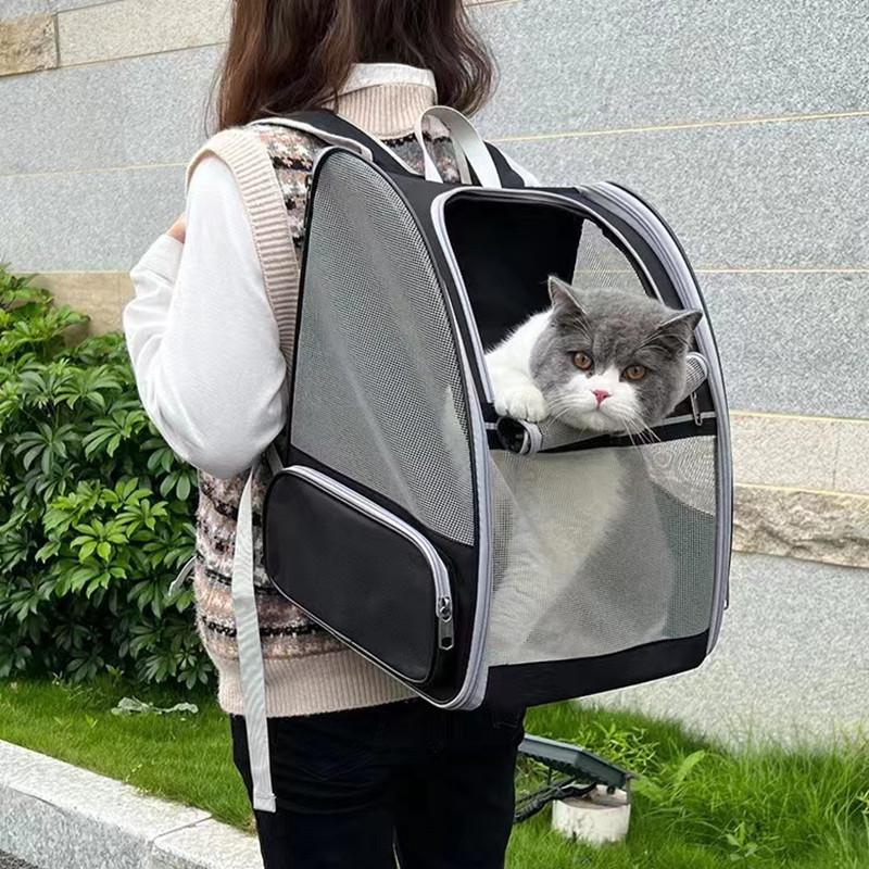 Summer Breathable Mesh Pet Backpack - Large Capacity Cat Carrier