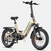 ENGWE L20 3.0 Pro Electric Bike 250W 100Nm Mid-drive Motor, 48V 15Ah Battery, 160KM Range, Hydraulic Brakes E-Bike