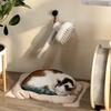 Anti-Floating Hair Pet Spray Hair Massage Brush Soft Teeth Cat Steamy Shedding Brush  Spa Treatment