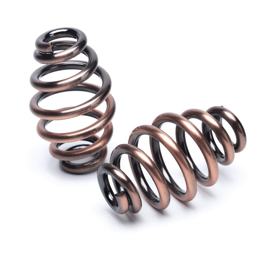 Karun Solo Seat Spring Bracket Kit for Harley Sportster Bobber Chopper Custom Bikes (Brown 03)