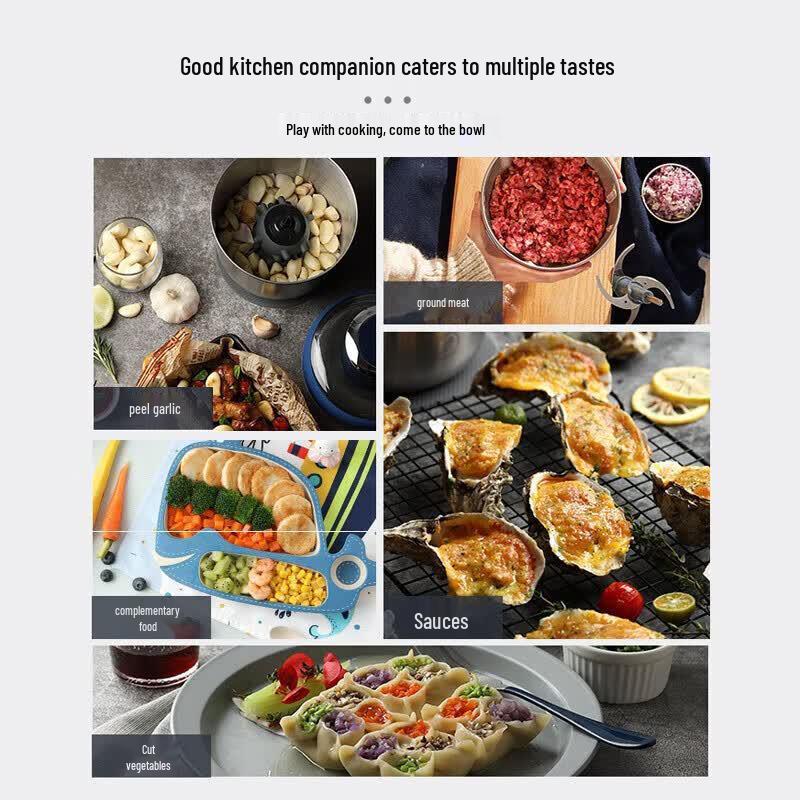 Morphy Richards Electric Multi-function Meat Grinder & Food Processor CN Plug (adapter Included)