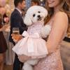 Sequin Pet Princess Dress Lace Bow Dog Tulle Skirt Pet Wedding Dresses  Party Wear