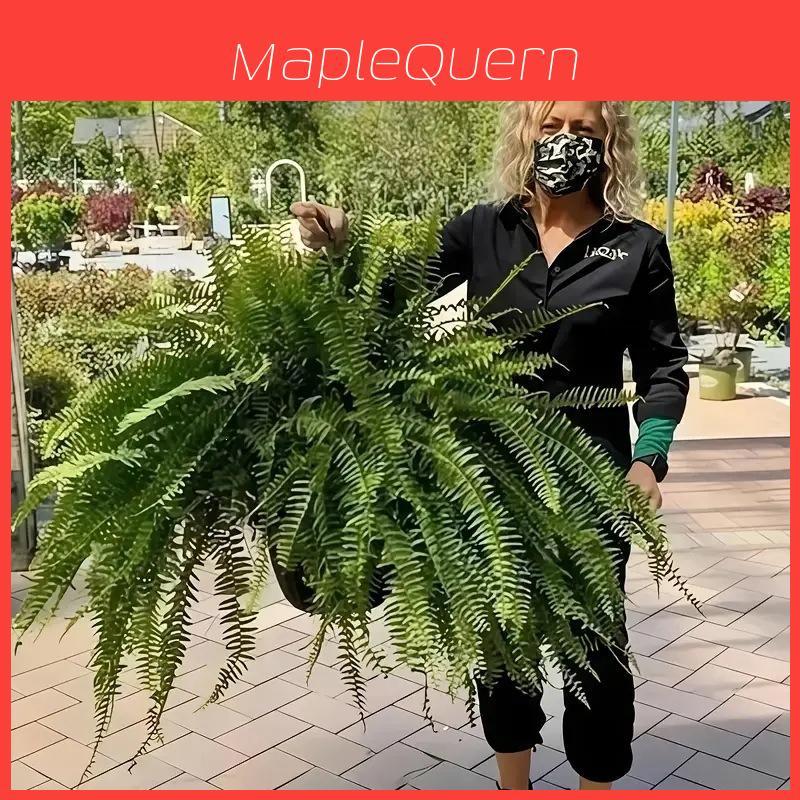 Boston Fern Plant With Silk Leaves For Wedding Decor And Home Garden Enhancements