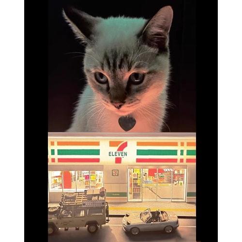 1:64 Scale Architectural Diorama Model with USB Lights, Store, Street, and Driveway, for Educational, DIY Decor, and Hobby Development (Convenience St