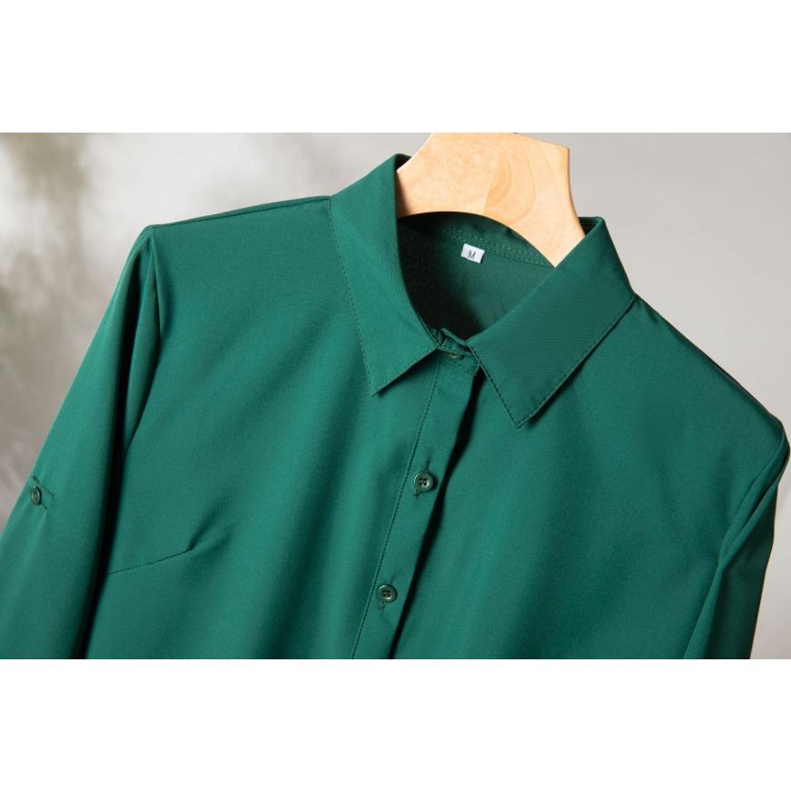 Leisure Shirt Women Button Down Long Sleeve Blouse Tops Spring Fall Solid Ladies Slim Long Basic Shirts