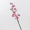 Peach and Plum Blossom Artificial Winter Bouquet for Indoor Decoration