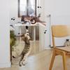 Hot Rechargeable Bird Cat Toy Things for Cats Interactive Cat Toys Catnip Cat's Accessories Supplies Pet Products Home Garden